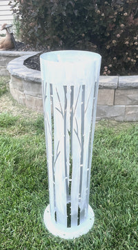 Tall Luminary Birch Trees